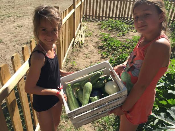 greenvillagecesenatico fr offre-grand-parents-et-petits-enfants-a-cesenatico-dans-un-village-family-avec-bal-musette-le-soir 012