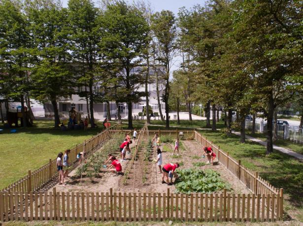 Enfants et adultes travaillent ensemble dans le jardin scolaire.